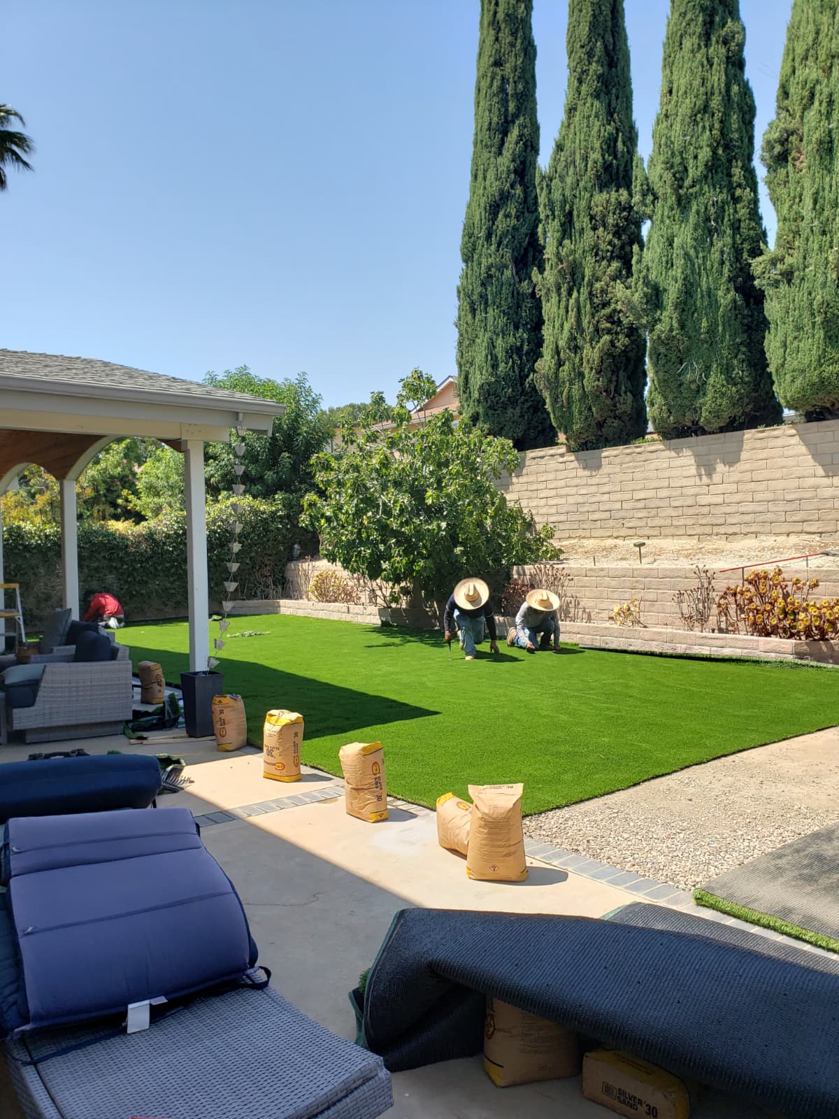 Para Artificial Grass